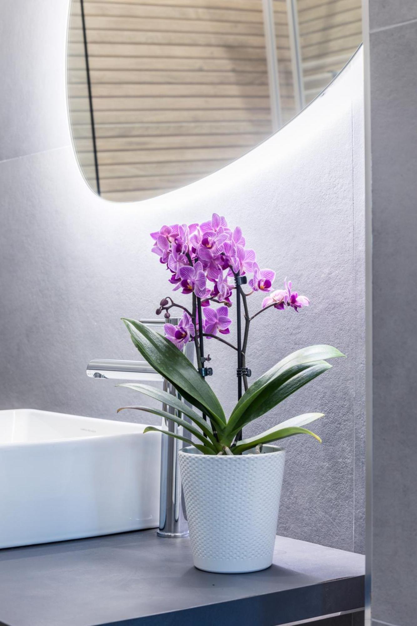 Mhouse Roma Apartment ภายนอก รูปภาพ